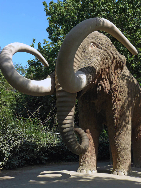  Mammut im Ciudadela-Park - Foto, Bild