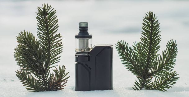 winter vapor with fir branches - Photo, Image