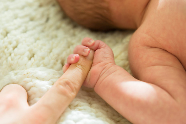 Baby Holding Parent Finger - Zdjęcie, obraz