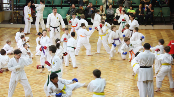 trenér a děti v sportovní hale dělají cvičení na podporu vyšetření ve stylu goju-ryu karate-do - Záběry, video