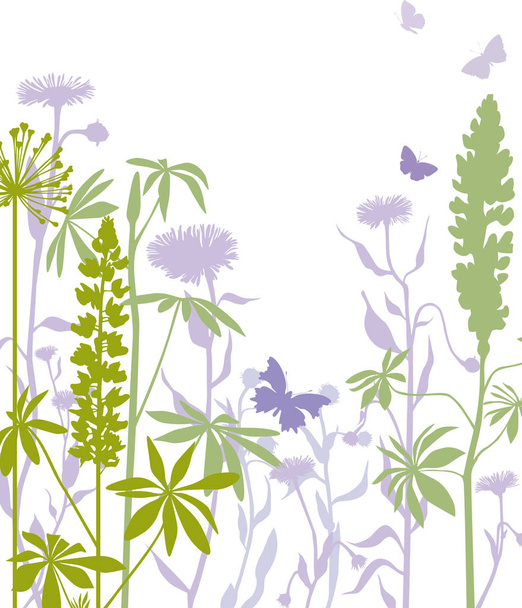Lupin flowers illustration - Vektor, obrázek