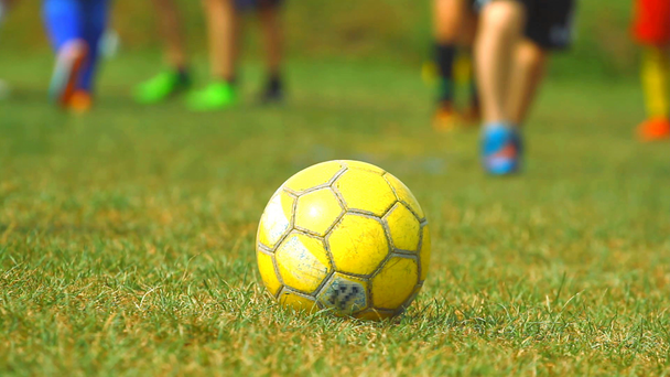 Treinamento de crianças e bola de futebol
  - Filmagem, Vídeo