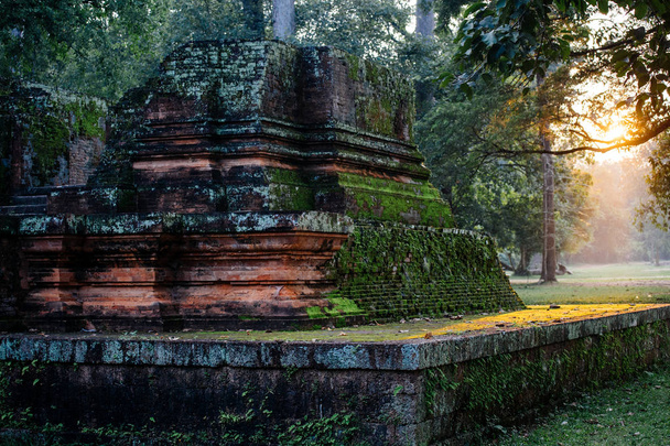 Ruinas del templo budista cubiertas de musgo
 - Foto, Imagen