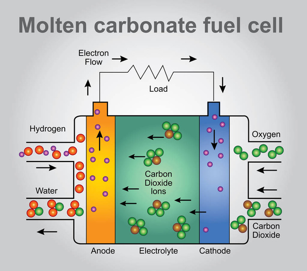 geschmolzenes Karbonat Brennstoffzellen-Verfahren. Vektorkunst, Illustrationsdesign. - Vektor, Bild