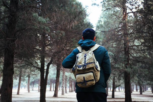 Young traveler trekking into the woods with backpack along the path - 写真・画像