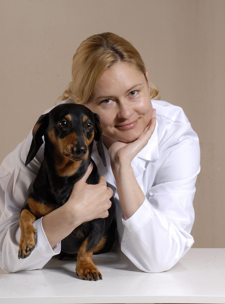 Woman veterinary. - Fotó, kép