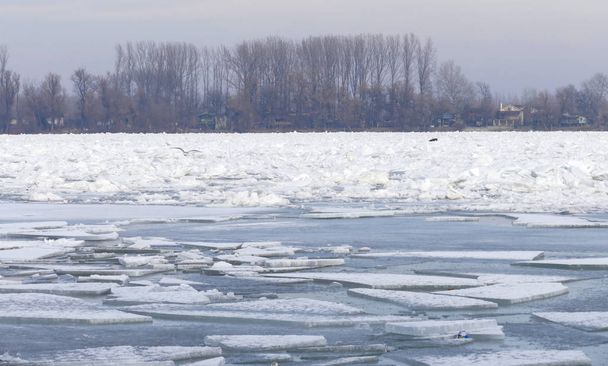 Frozen Danube river in Belgrade, Serbia - Zdjęcie, obraz