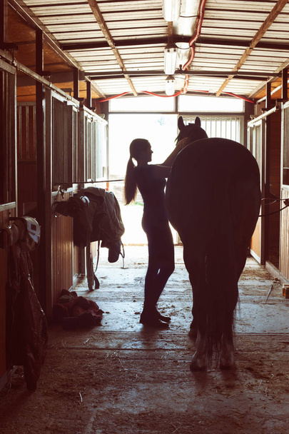Silhueta de donas de cavalos aproveitando o garanhão no estábulo
 - Foto, Imagem