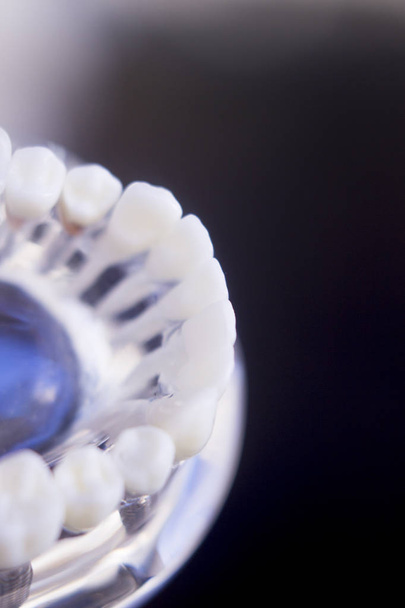 Модель зубов стоматолога
 - Фото, изображение