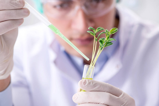 Biotechnology concept with scientist in lab - Φωτογραφία, εικόνα