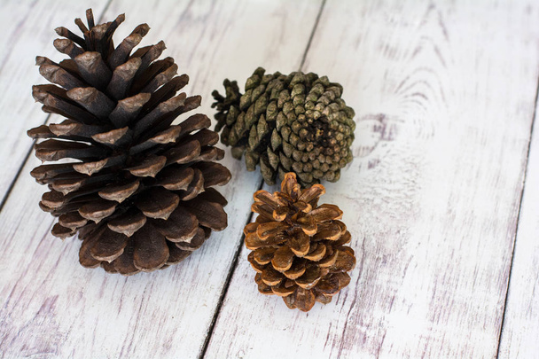 Three Rustic Pinecones on a White Barn Board Floor Close Up - Photo, Image