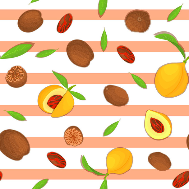 Vector seamless pattern Nutmeg spice fruit. Striped background with  nuts  in the shell, whole, shelled, leaves appetizing looking for design of healthy food, printing on fabric, textile - Vector, Image