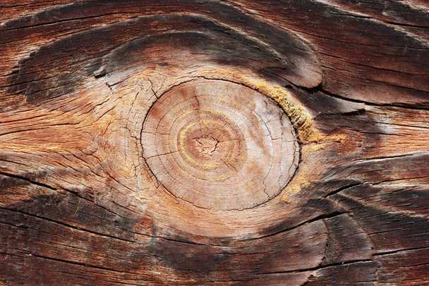 naturalne tło tekstura drewna  - Zdjęcie, obraz