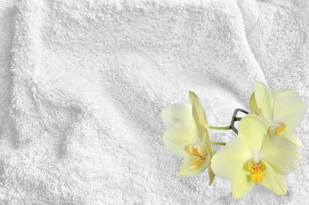 Witte katoenen handdoek badstof textuur en Gele orchidee - Foto, afbeelding