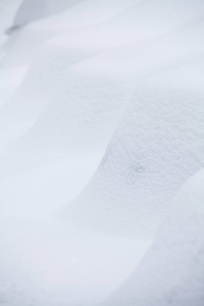 Rzędu pokrytych śniegiem samochodów - Zdjęcie, obraz