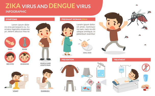 Infografika wirus Zika wirusa i denga. - Zdjęcie, obraz