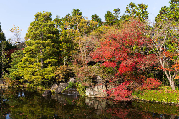 Autumn Japanese Traditional Garden - Photo, Image