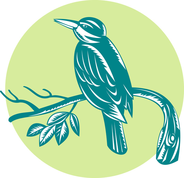 Kingfisher Pering on Branch Woodcut
 - Вектор,изображение