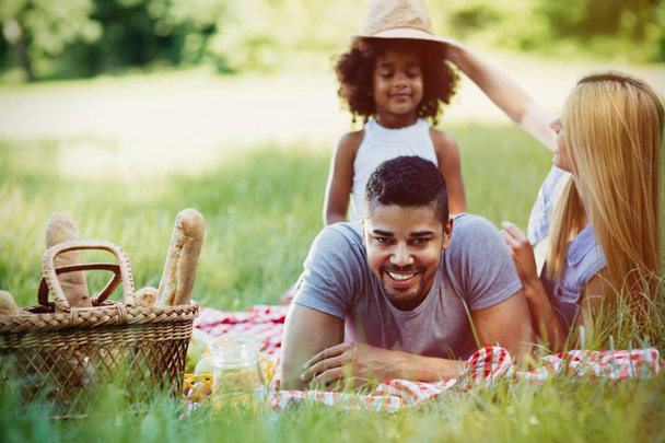family enjoying picnic - Фото, изображение
