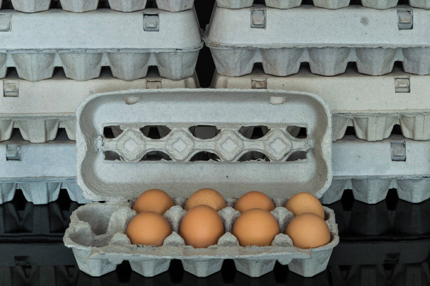 Caixa de ovos com oito ovos de galinha orgânicos dentro
 - Foto, Imagem