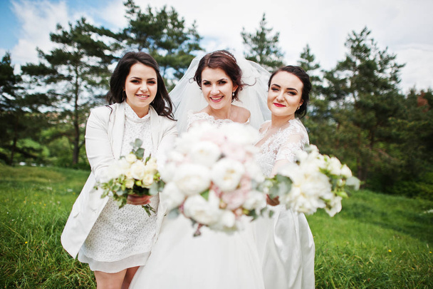 Pretty bride with bridesmaids on white dresses with bouquets on  - Φωτογραφία, εικόνα