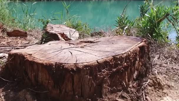 Hidas kanto Forest Caminito del Rey 01
 - Materiaali, video