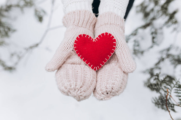 Kış doğada kalp tutan kız - Fotoğraf, Görsel