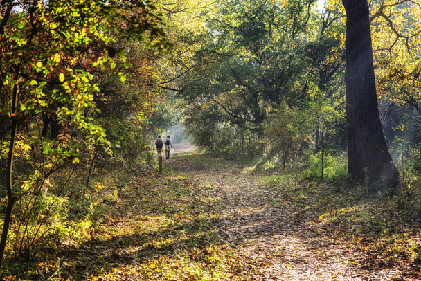 Lesní běh venkovní aktivity - Fotografie, Obrázek
