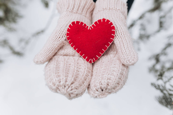 Kış doğada kalp tutan kız - Fotoğraf, Görsel