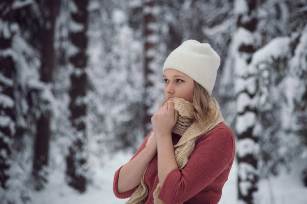 girl walks on the winter forest - Foto, imagen