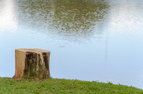 Cut tree trunk to serve as a bench to sit in front of the lake. - Photo, Image