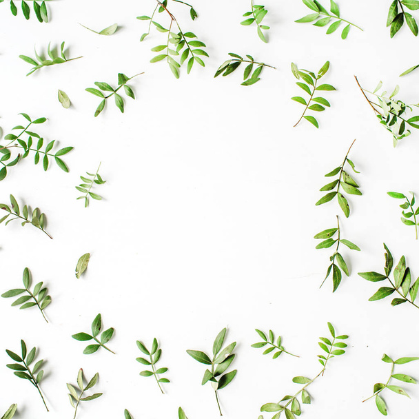 Ramki z zielonymi gałązkami i liśćmi  - Zdjęcie, obraz