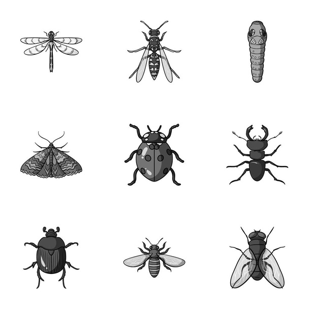 Insects set icons in monochrome style. Big collection of insects vector symbol stock illustration - Vector, Image