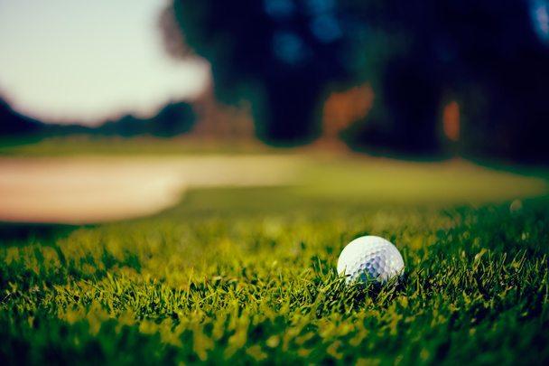 Witte golfbal op een grasveld, ondiepe scherptediepte opmerken - Foto, afbeelding