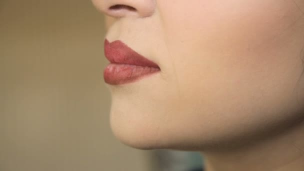 Lip makeup closeup.Full hd video - Materiał filmowy, wideo