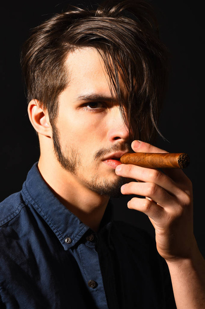 serious bearded man smoking cigar - 写真・画像