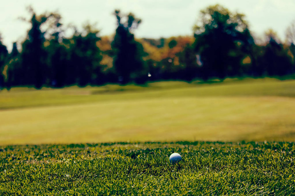 golfový míček na zelené trávě, poznámka mělká hloubka pole - Fotografie, Obrázek