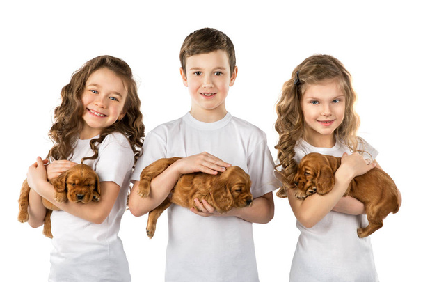 Kinderen met puppys geïsoleerd op een witte achtergrond. Kid huisdier vriendschap - Foto, afbeelding