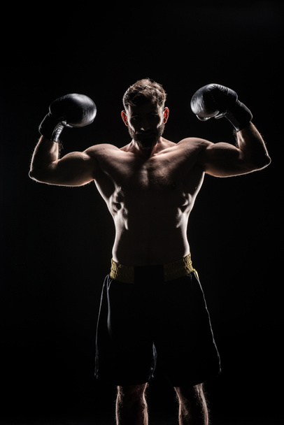 Sportsman in boxing gloves  - Foto, Imagen