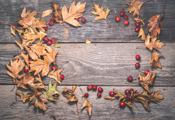 top view image of autumn leaves  - Valokuva, kuva