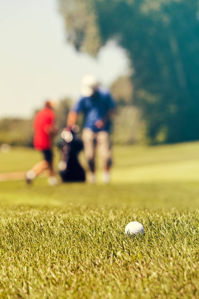 Sports Golf Course - Фото, изображение