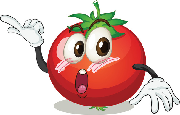 tomate - Vector, Imagen