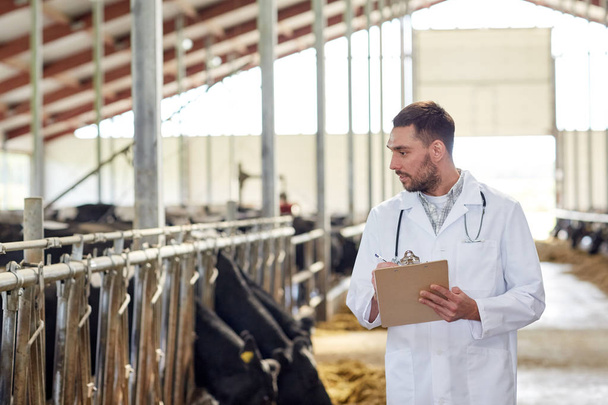 lekarz weterynarii z krów w oborze na gospodarstwa mlecznego - Zdjęcie, obraz