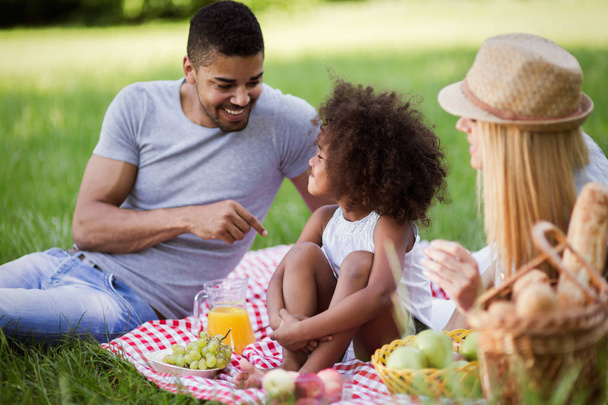 Happy family enjoying picnic - Foto, afbeelding