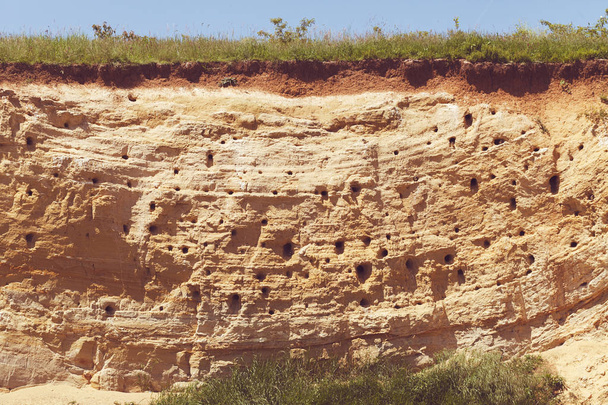 nids d'oiseaux mangeurs d'abeilles dans la roche, note faible profondeur de champ
 - Photo, image