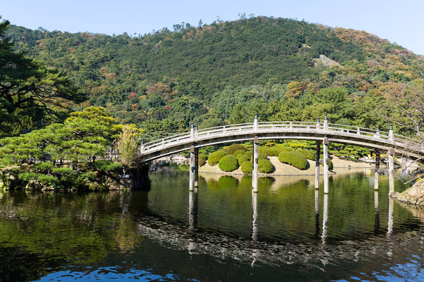 Japoński Ritsurin ogród i drewniany most - Zdjęcie, obraz