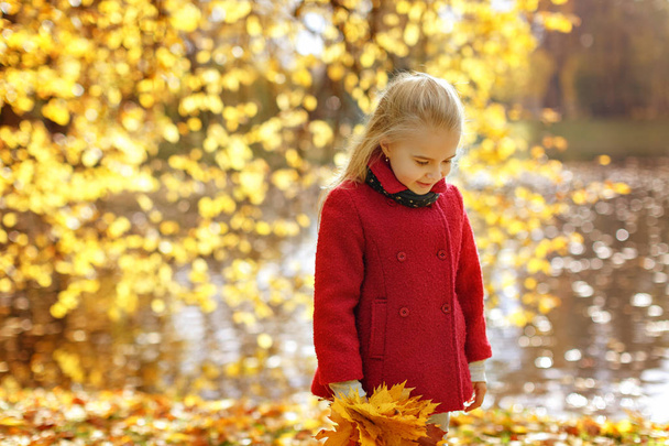 Bambina in cappotto nel parco autunnale guardando in basso
 - Foto, immagini