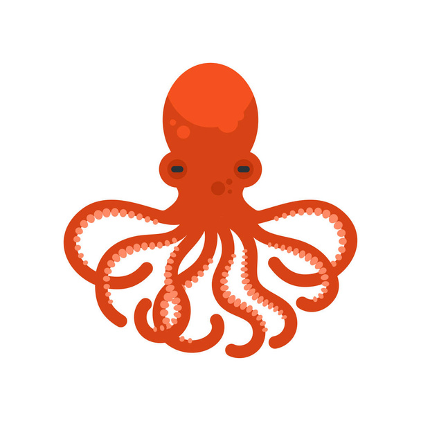 Vector flat style illustration of octopus.  - Vector, Imagen