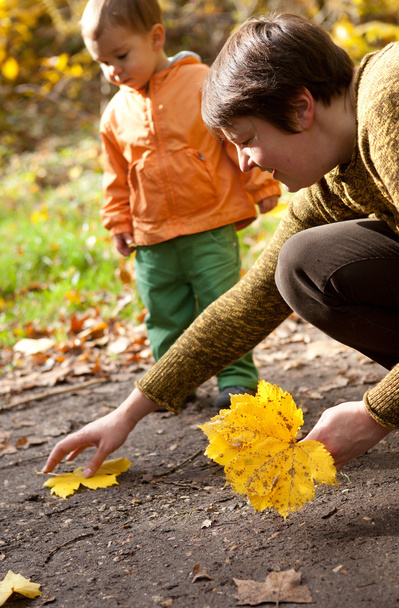 Mother and son gathering yellow maple leaves in autumn forest - Фото, зображення