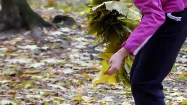 Menina recolhe folhas de bordo amarelo para fazer grinalda
. - Filmagem, Vídeo